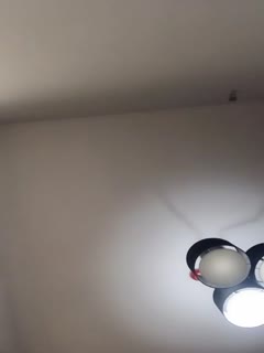 制服丁字裤颜值不错妹子自慰秀喜欢边看小视频边自慰跳蛋震动bb挺嫩很是诱惑喜欢不要错过